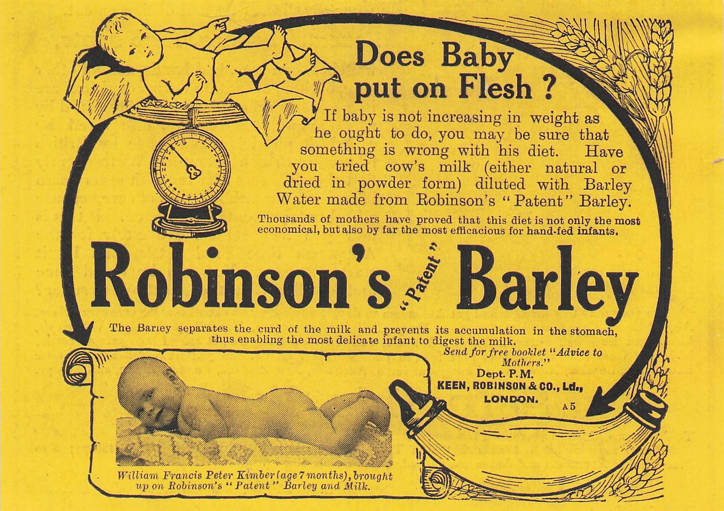 Original small printed advert for Robinson's Barley 1916